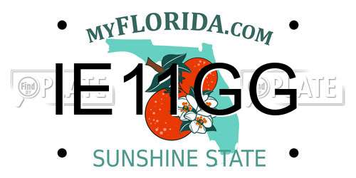 IE11GG Florida License Plate