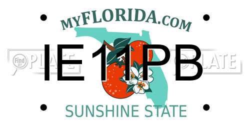 IE11PB Florida License Plate