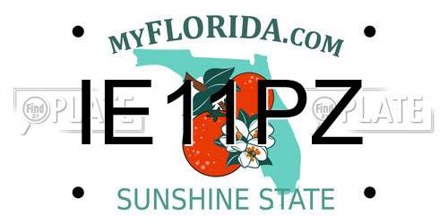 IE11PZ Florida License Plate