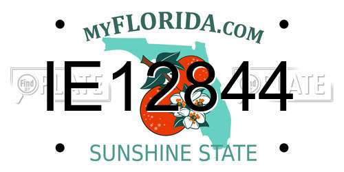 IE12844 Florida License Plate