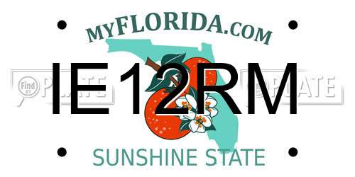IE12RM Florida License Plate