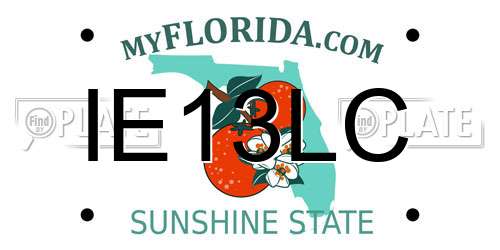 IE13LC Florida License Plate