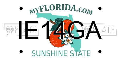 IE14GA Florida License Plate