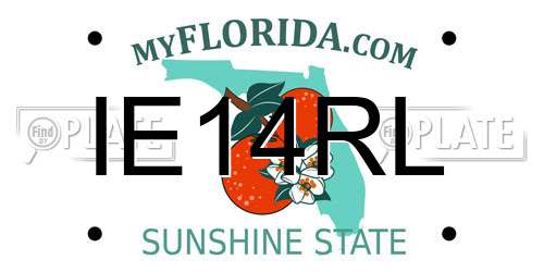 IE14RL Florida License Plate