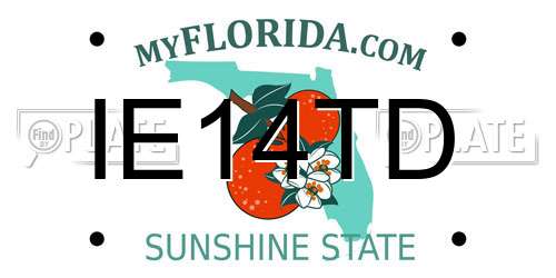 IE14TD Florida License Plate