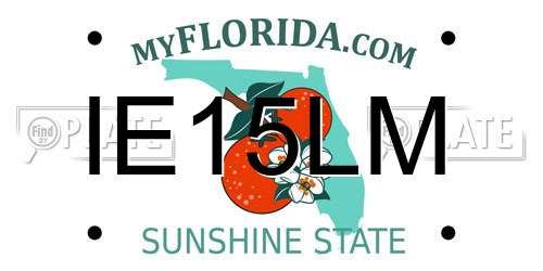 IE15LM Florida License Plate