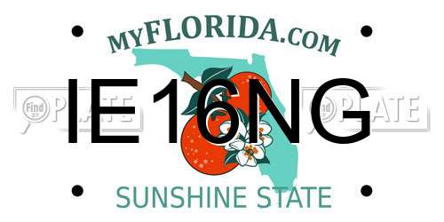 IE16NG Florida License Plate