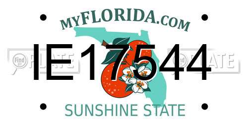 IE17544 Florida License Plate