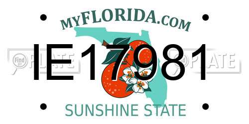 IE17981 Florida License Plate