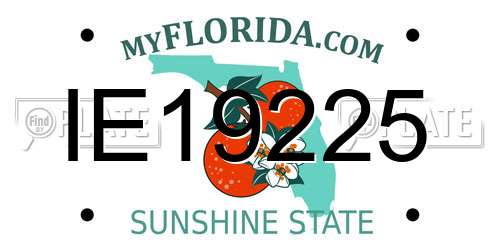 IE19225 Florida License Plate