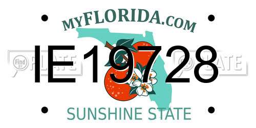 IE19728 Florida License Plate