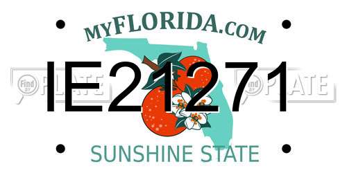 IE21271 Florida License Plate