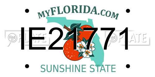 IE21771 Florida License Plate