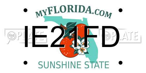 IE21FD Florida License Plate