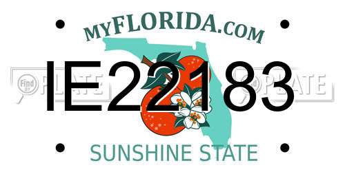 IE22183 Florida License Plate