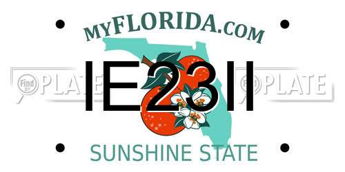 IE23II Florida License Plate