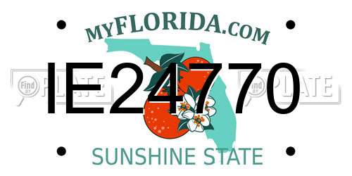 IE24770 Florida License Plate