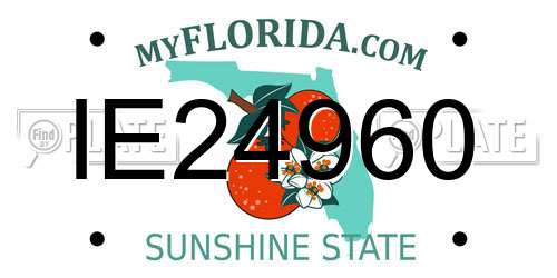 IE24960 Florida License Plate