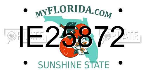 IE25872 Florida License Plate