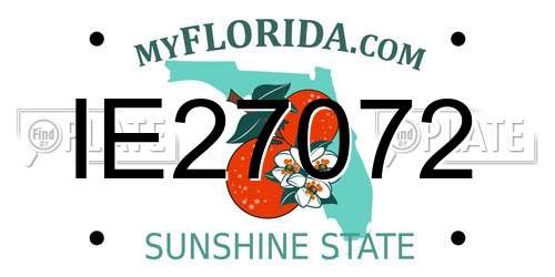 IE27072 Florida License Plate