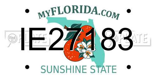 IE27183 Florida License Plate