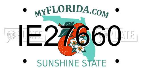 IE27660 Florida License Plate