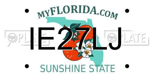 IE27LJ Florida License Plate