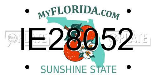IE28052 Florida License Plate