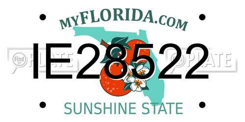 IE28522 Florida License Plate