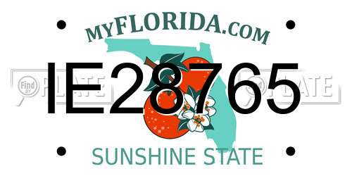 IE28765 Florida License Plate