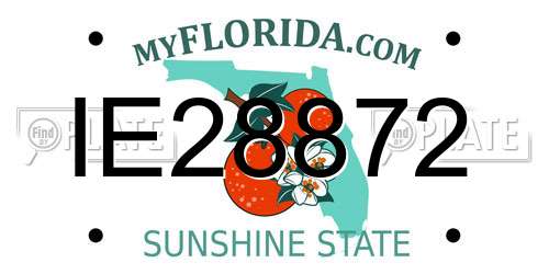IE28872 Florida License Plate