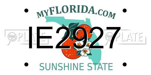 IE2927 Florida License Plate