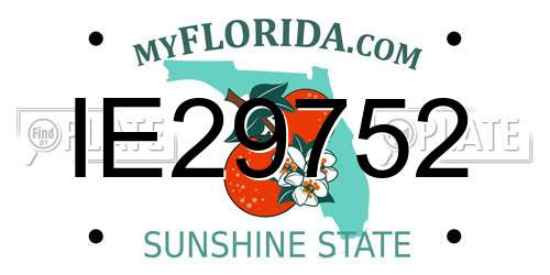 IE29752 Florida License Plate