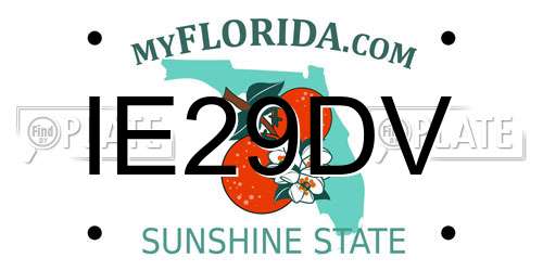 IE29DV Florida License Plate