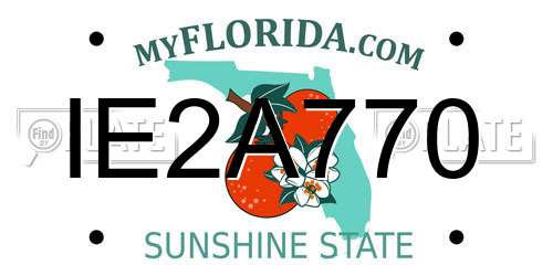 IE2A770 Florida License Plate