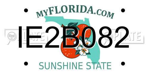 IE2B082 Florida License Plate
