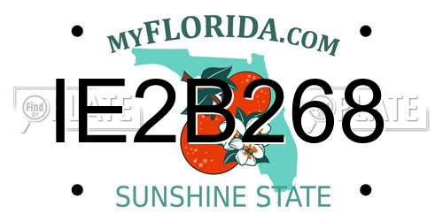 IE2B268 Florida License Plate