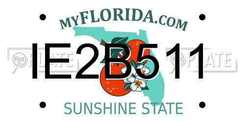IE2B511 Florida License Plate