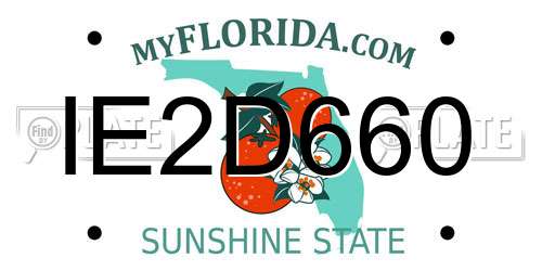 IE2D660 Florida License Plate