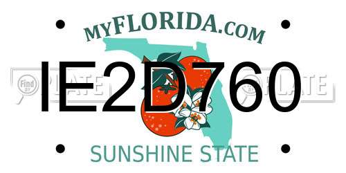 IE2D760 Florida License Plate