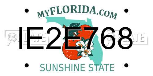 IE2E768 Florida License Plate