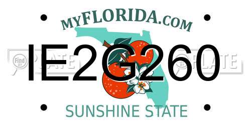 IE2G260 Florida License Plate