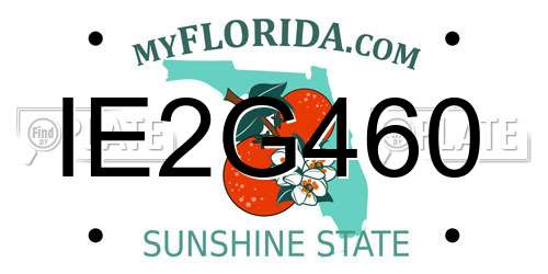 IE2G460 Florida License Plate