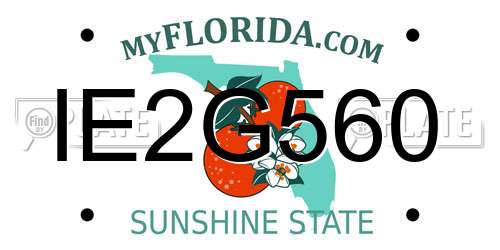 IE2G560 Florida License Plate
