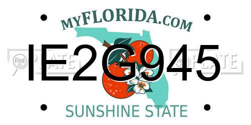 IE2G945 Florida License Plate