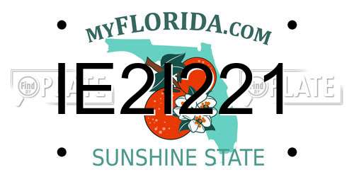 IE2I221 Florida License Plate