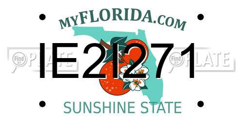 IE2I271 Florida License Plate