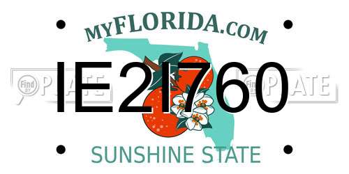 IE2I760 Florida License Plate