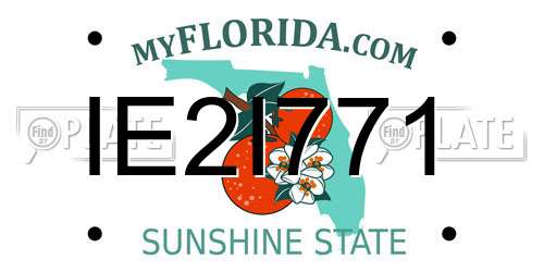IE2I771 Florida License Plate