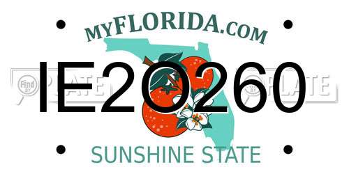 IE2O260 Florida License Plate